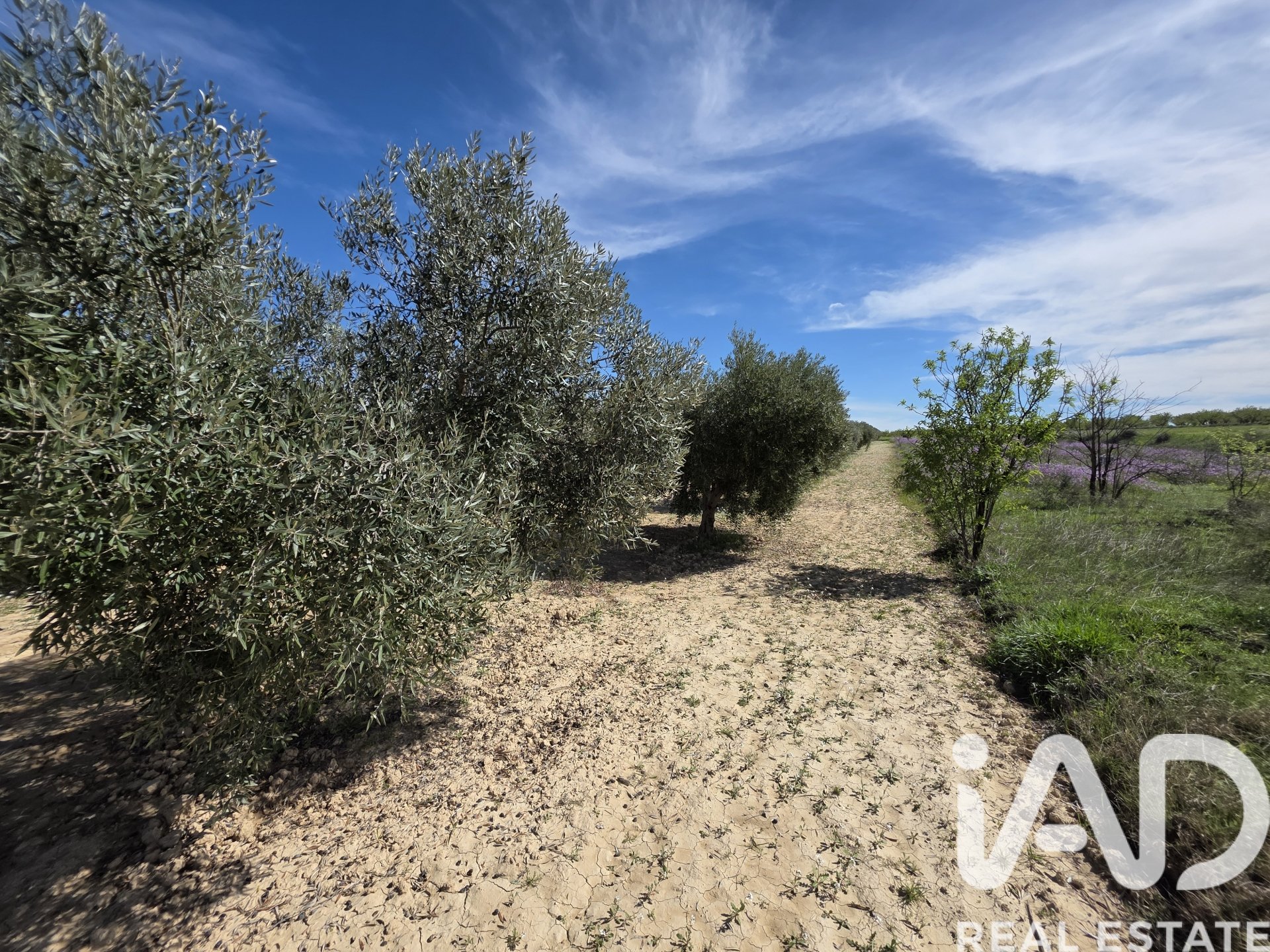 Terreno a Calasparra, Murcia, Spagna 5779 mq. N° 185058