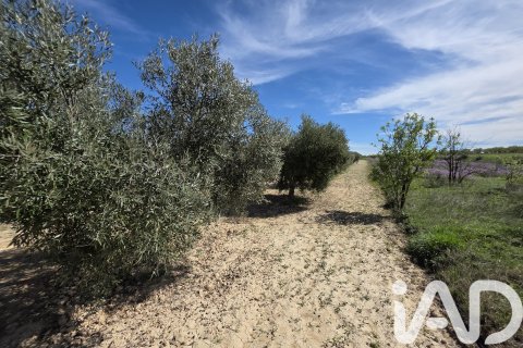 Land plot in Calasparra, Murcia, Spain 5779 sq.m. No. 185058