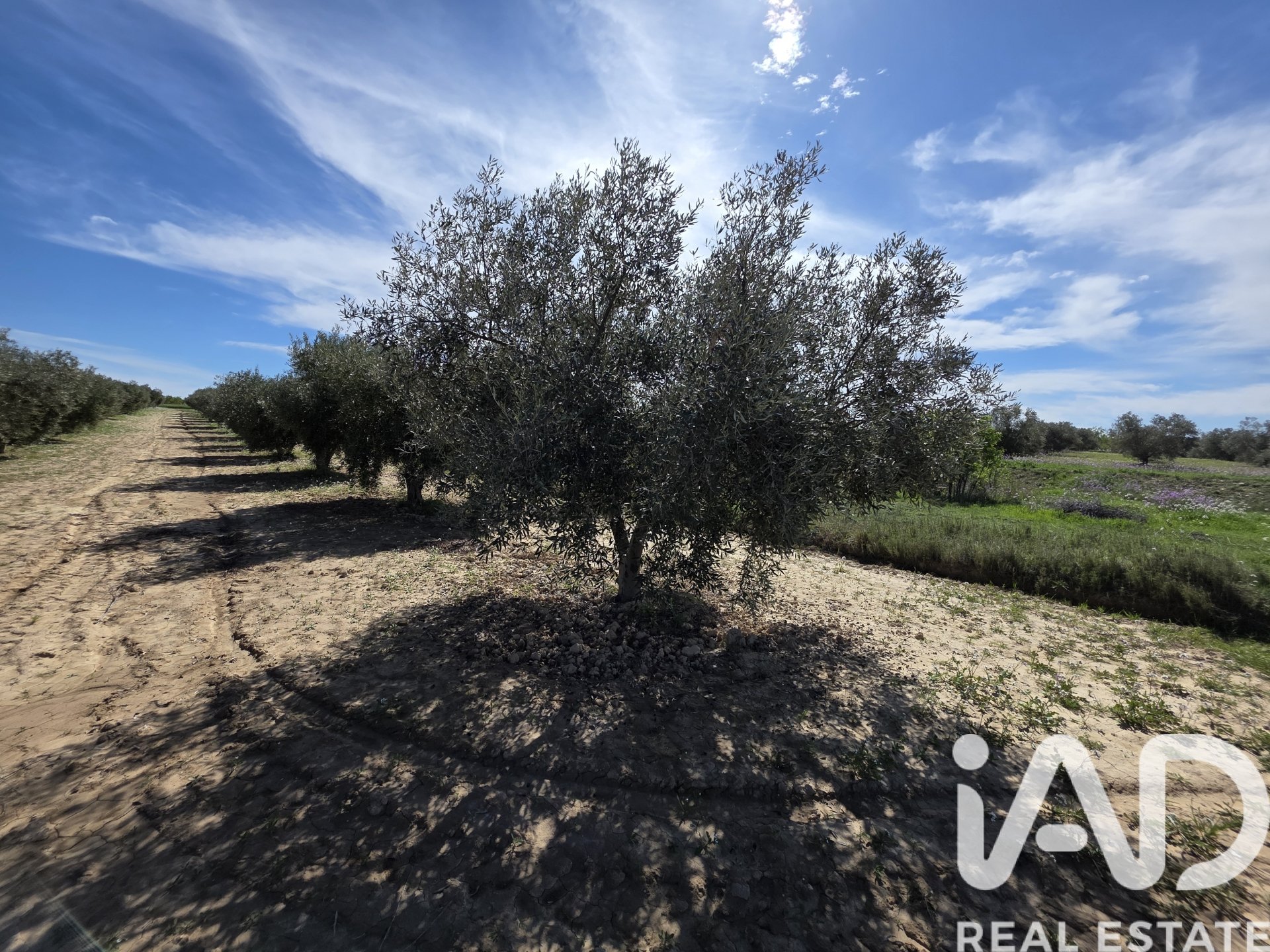 Terreno a Calasparra, Murcia, Spagna 5779 mq. N° 185058