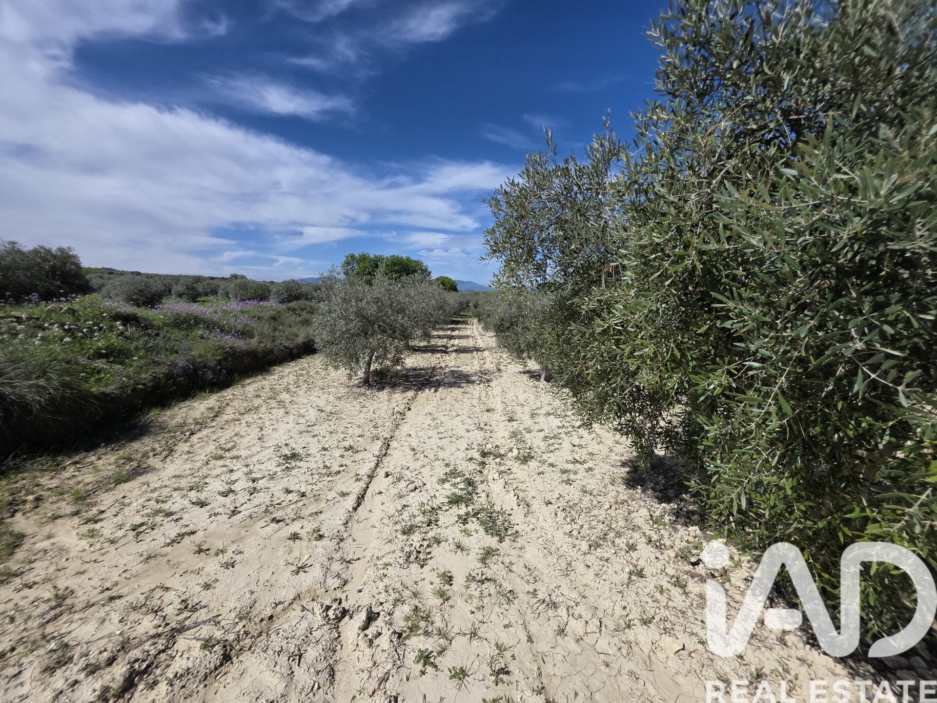 Terreno a Calasparra, Murcia, Spagna 5779 mq. N° 185058
