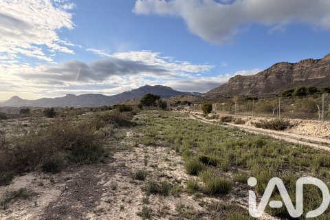 Terreno a Jijona, Alicante, Spagna 12216 mq. N° 185055