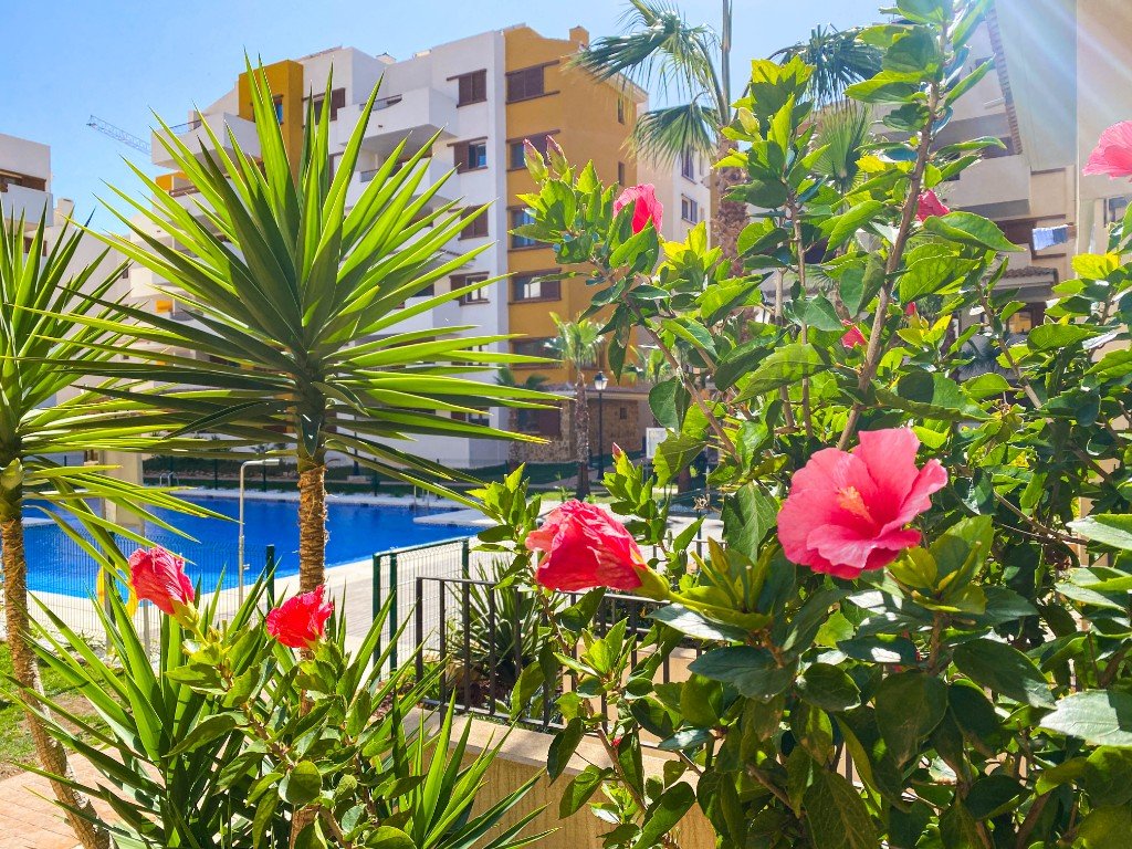 Appartamento a Punta Prima, Alicante, Spagna 3 camere da letto, 109 mq. N° 144821