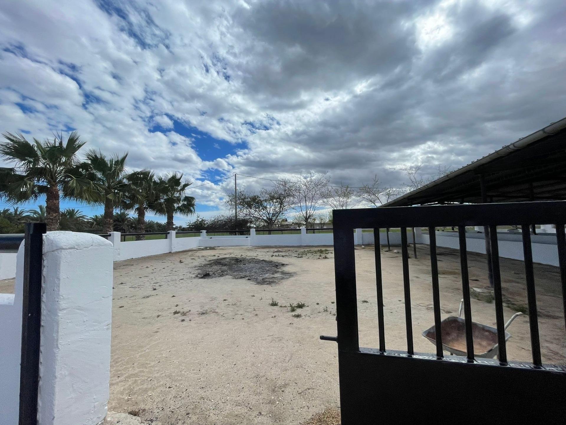 Hus i Catral, Alicante, Spanien 3 sovrum, 122 kvm. Nr. 96559