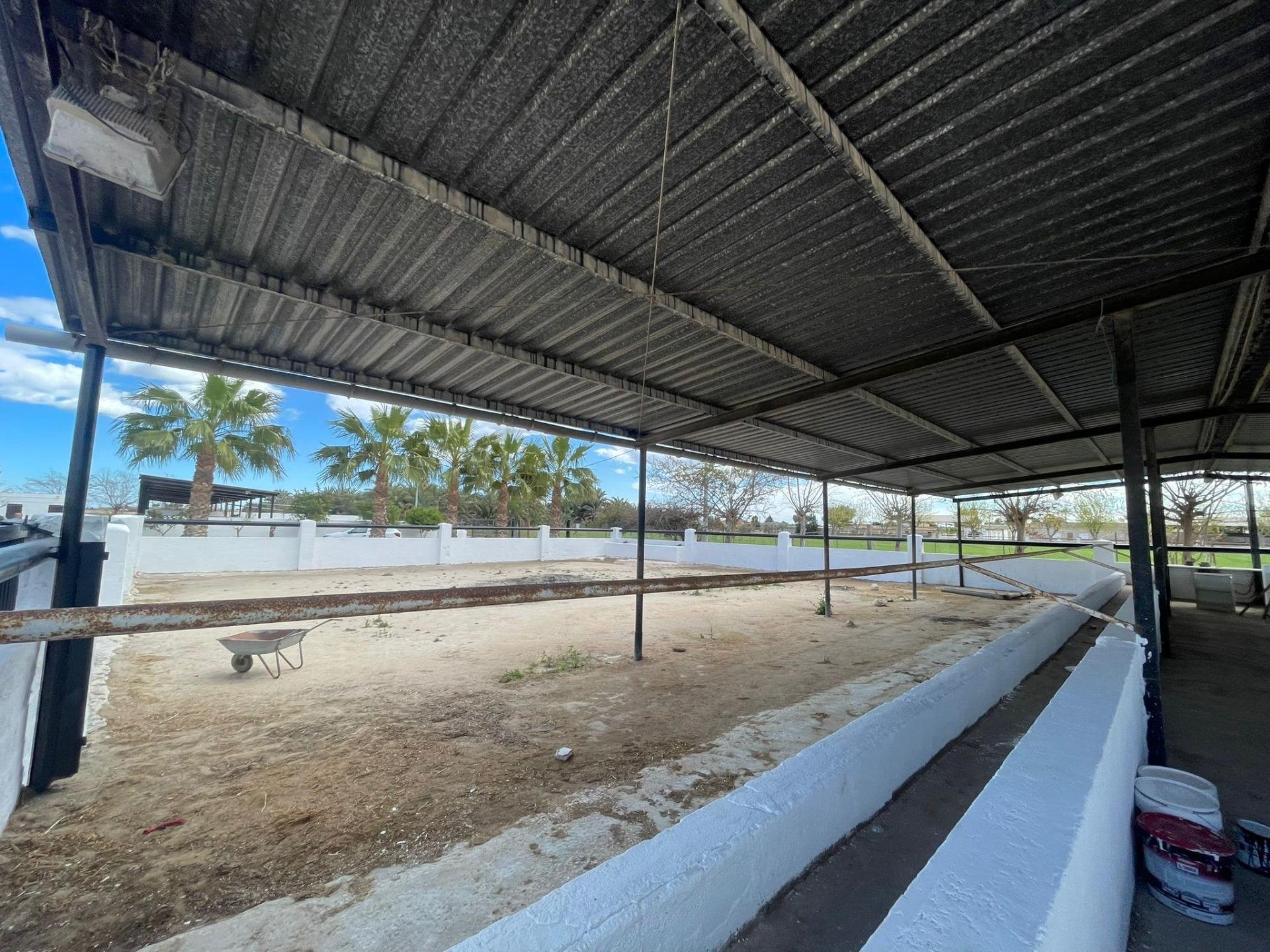 Hus i Catral, Alicante, Spanien 3 sovrum, 122 kvm. Nr. 96559