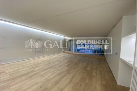Office in Principado De Andorra (Ninguna Poblacion Tiene C.P.), Lleida, Spain 100 sq.m. No. 157505