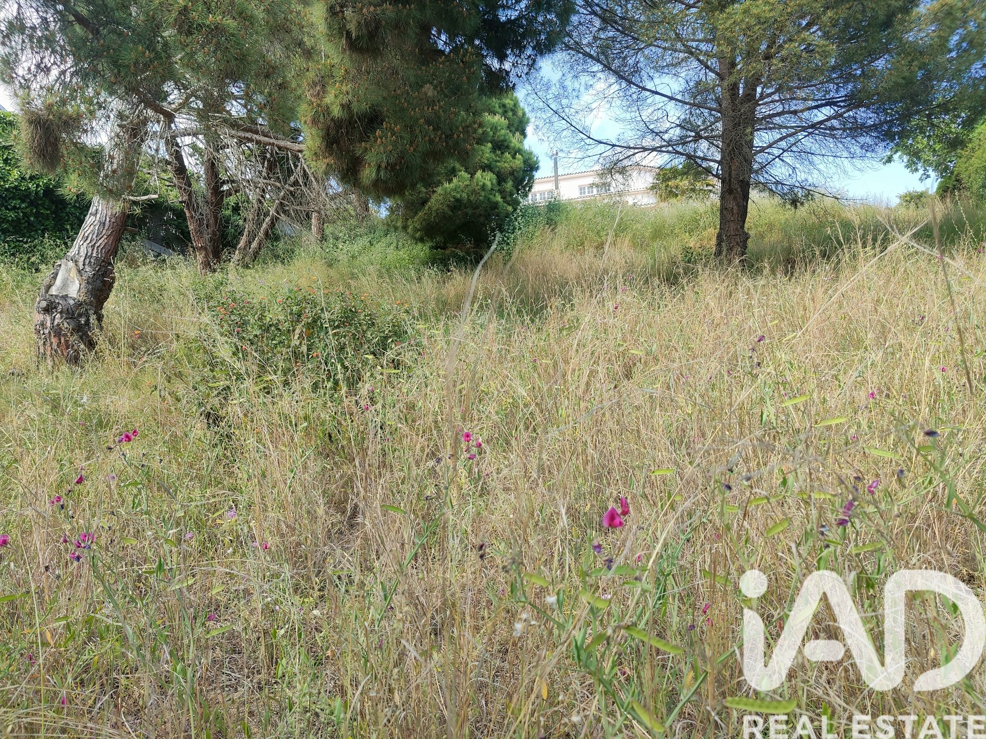 Parcela en Calella, Barcelona, España 930 m2 No. 172409