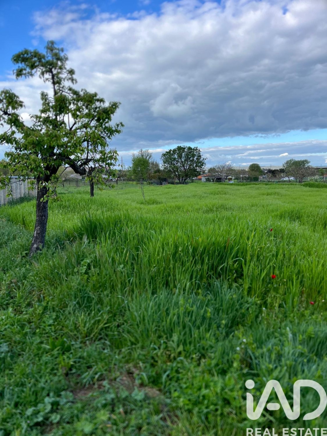 Land in Ciudad Rodrigo, Salamanca, Spanien 210 m2 Nr. 184796