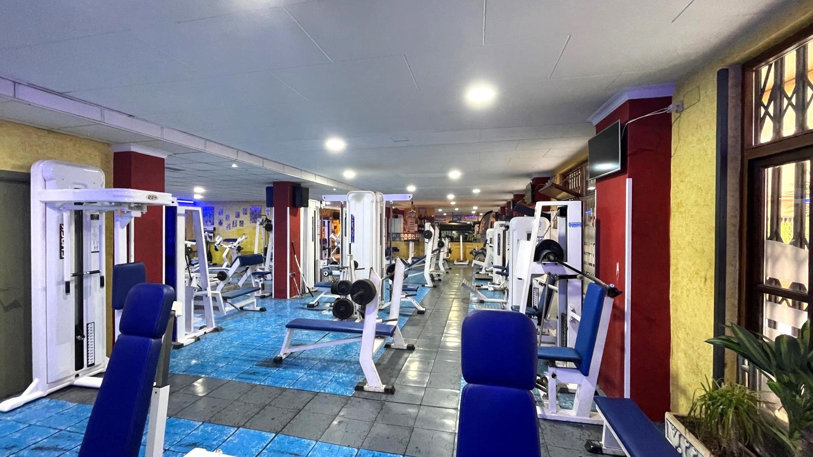 Propiedad comercial en Palma de Mallorca, Mallorca, España 427 m2 No. 147624