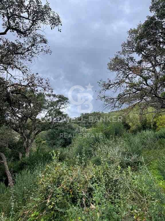Tomt i Sotogrande, Cadiz, Spanien 2100 kvm. Nr. 159588