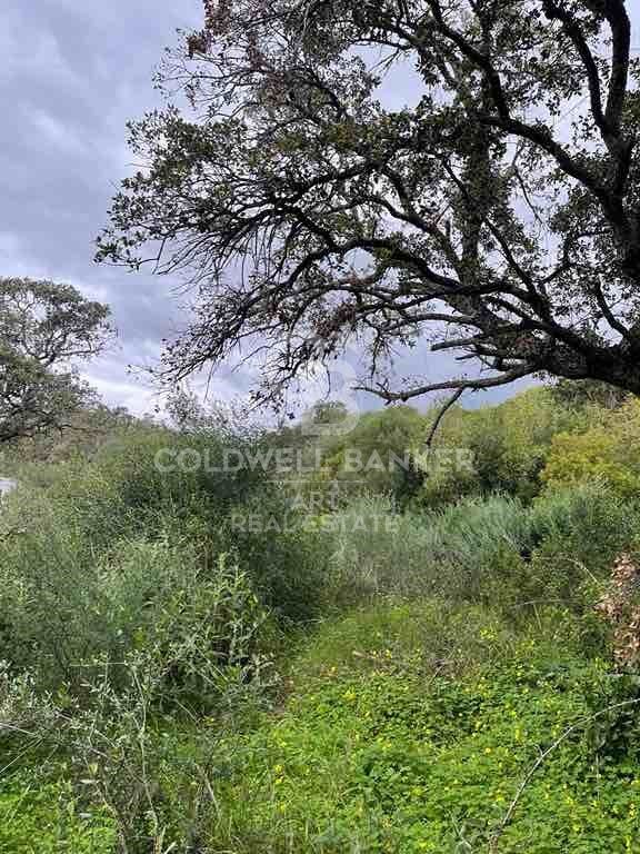 Tomt i Sotogrande, Cadiz, Spanien 2100 kvm. Nr. 159588