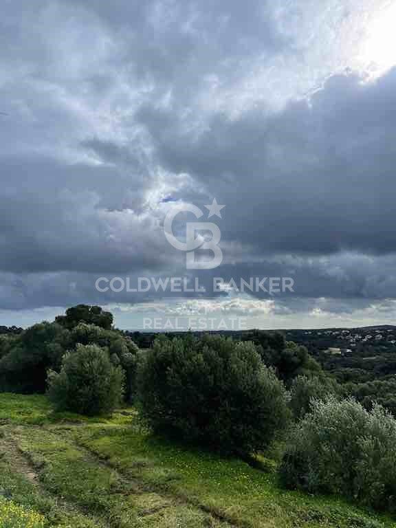 Land plot in Sotogrande, Cadiz, Spain 2690 sq.m. No. 159589