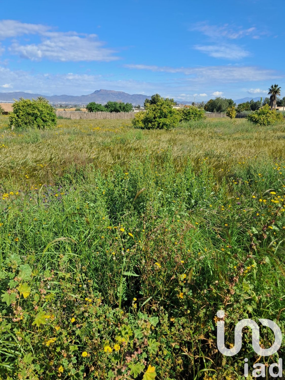 Land plot à Lorca, Murcia, Espagne 3843 m2 No. 185881