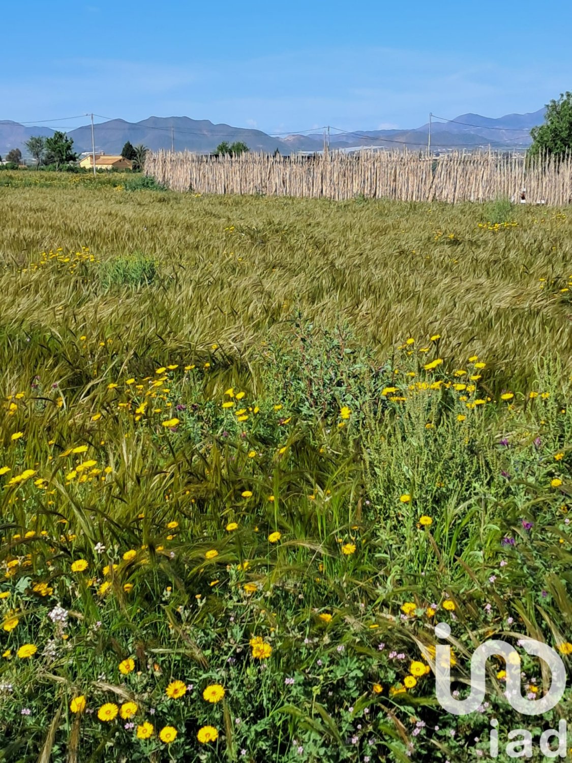 Land plot à Lorca, Murcia, Espagne 3843 m2 No. 185881