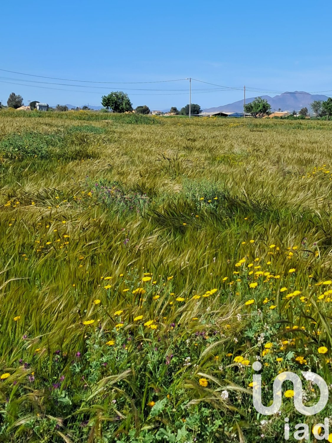 Land plot à Lorca, Murcia, Espagne 3843 m2 No. 185881