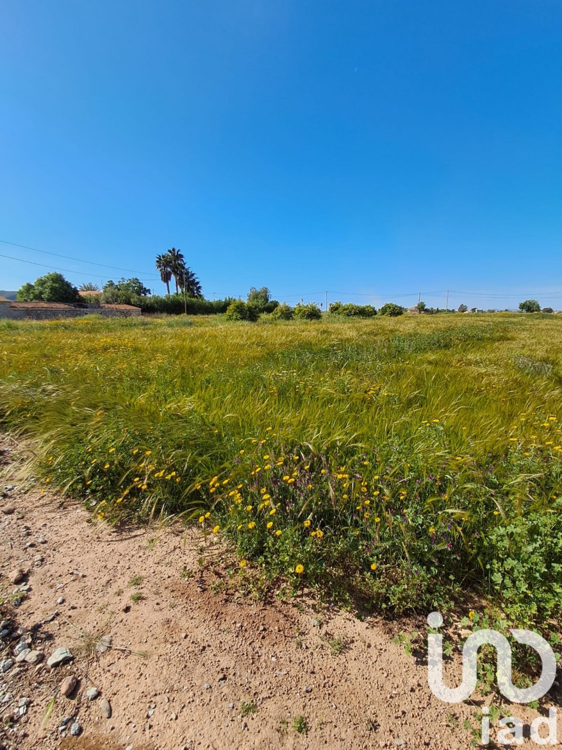 Land plot à Lorca, Murcia, Espagne 3843 m2 No. 185881