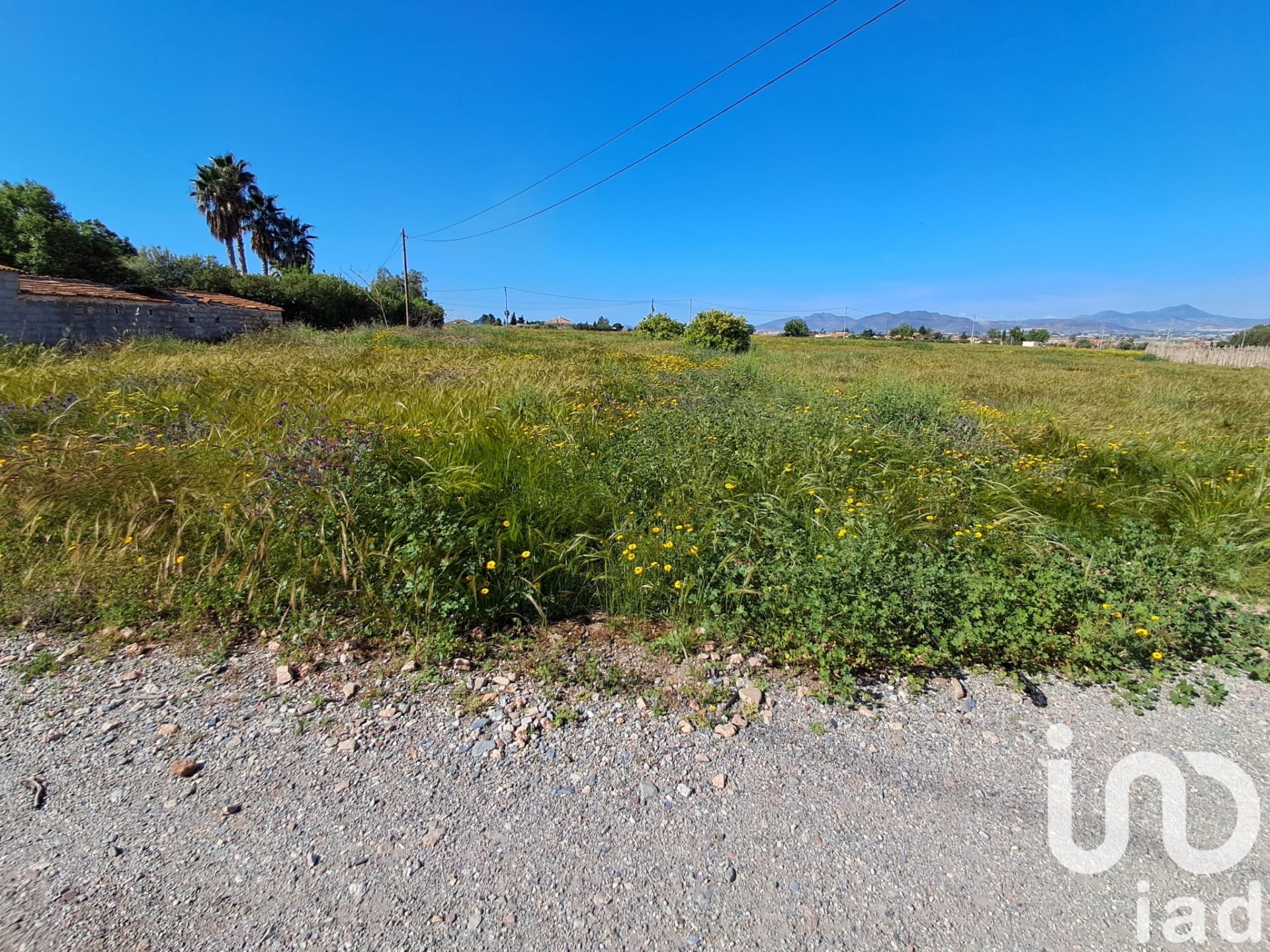 Land plot à Lorca, Murcia, Espagne 3843 m2 No. 185881