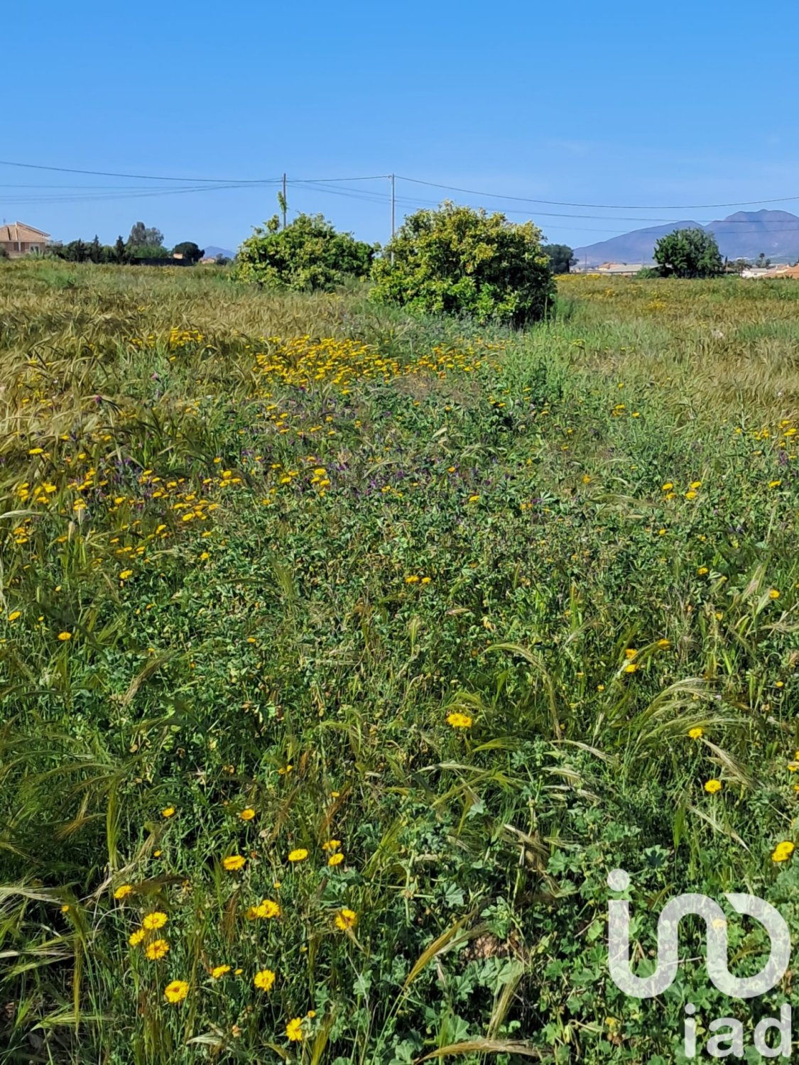Land plot à Lorca, Murcia, Espagne 3843 m2 No. 185881