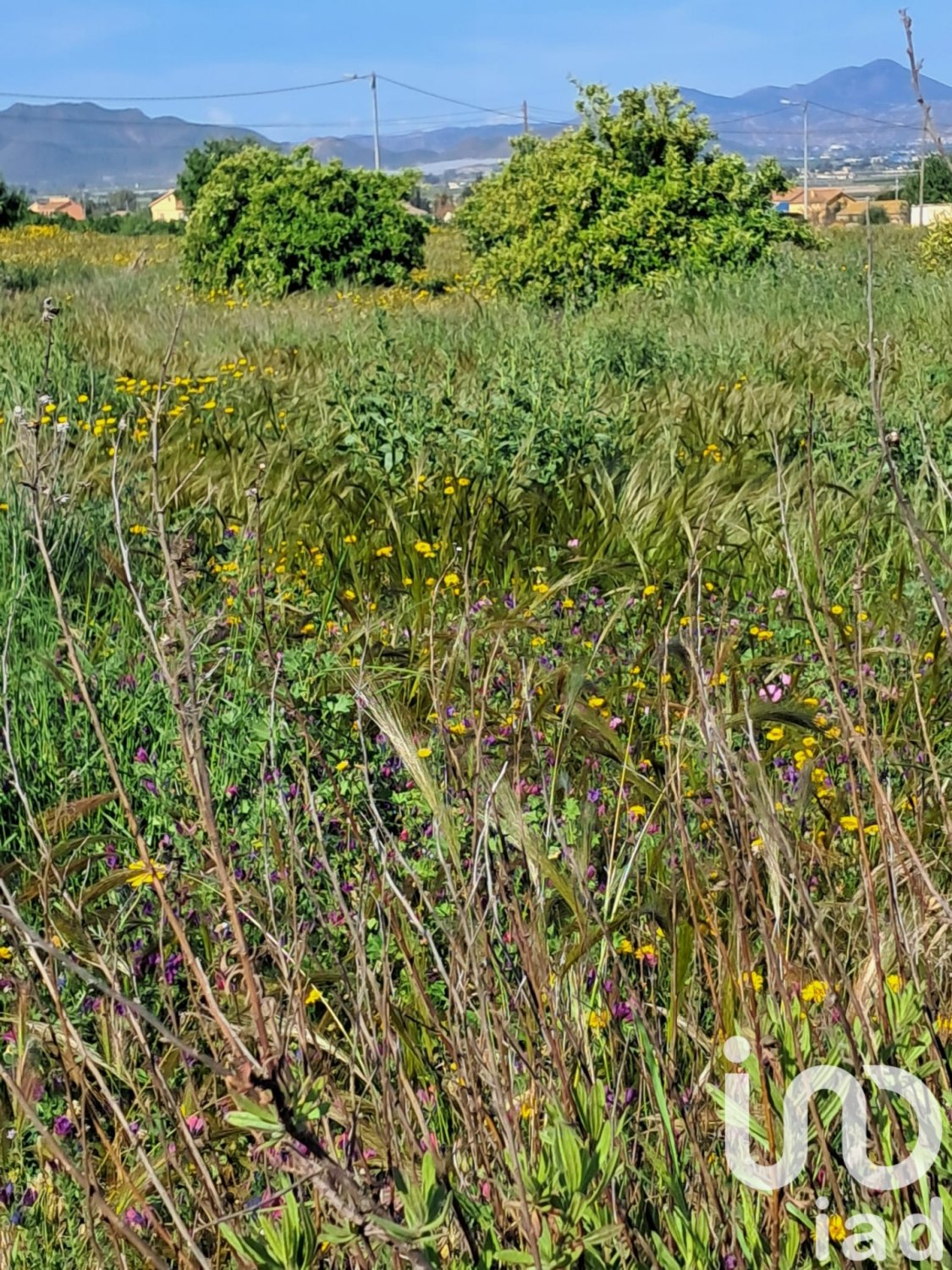 Land plot à Lorca, Murcia, Espagne 3843 m2 No. 185881