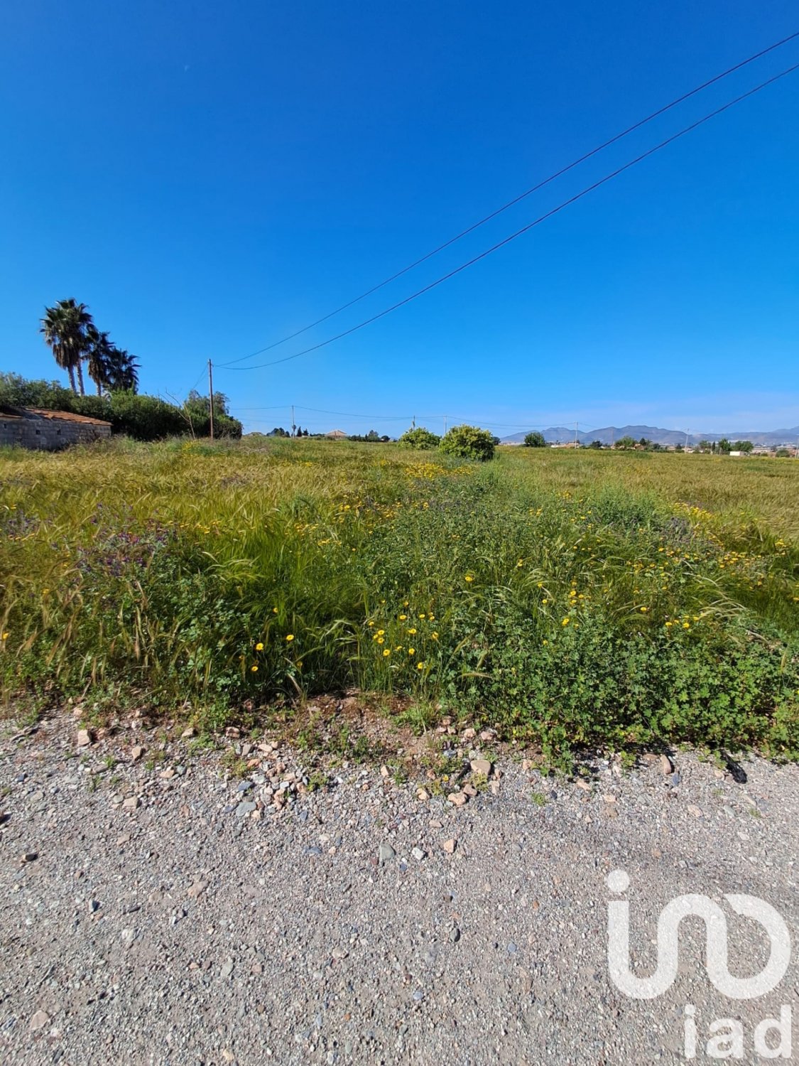 Land plot à Lorca, Murcia, Espagne 3843 m2 No. 185881
