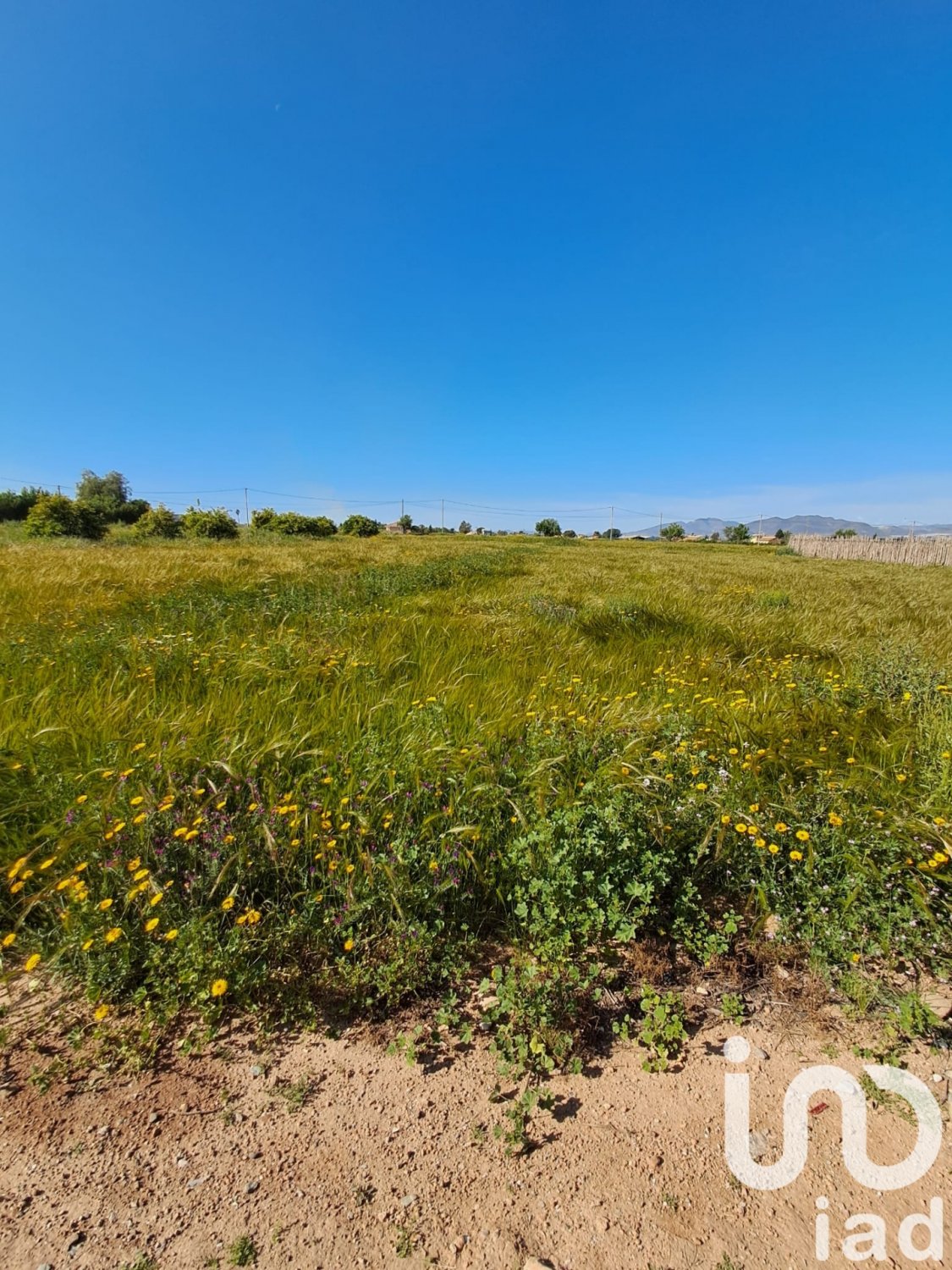 Land plot à Lorca, Murcia, Espagne 3843 m2 No. 185881
