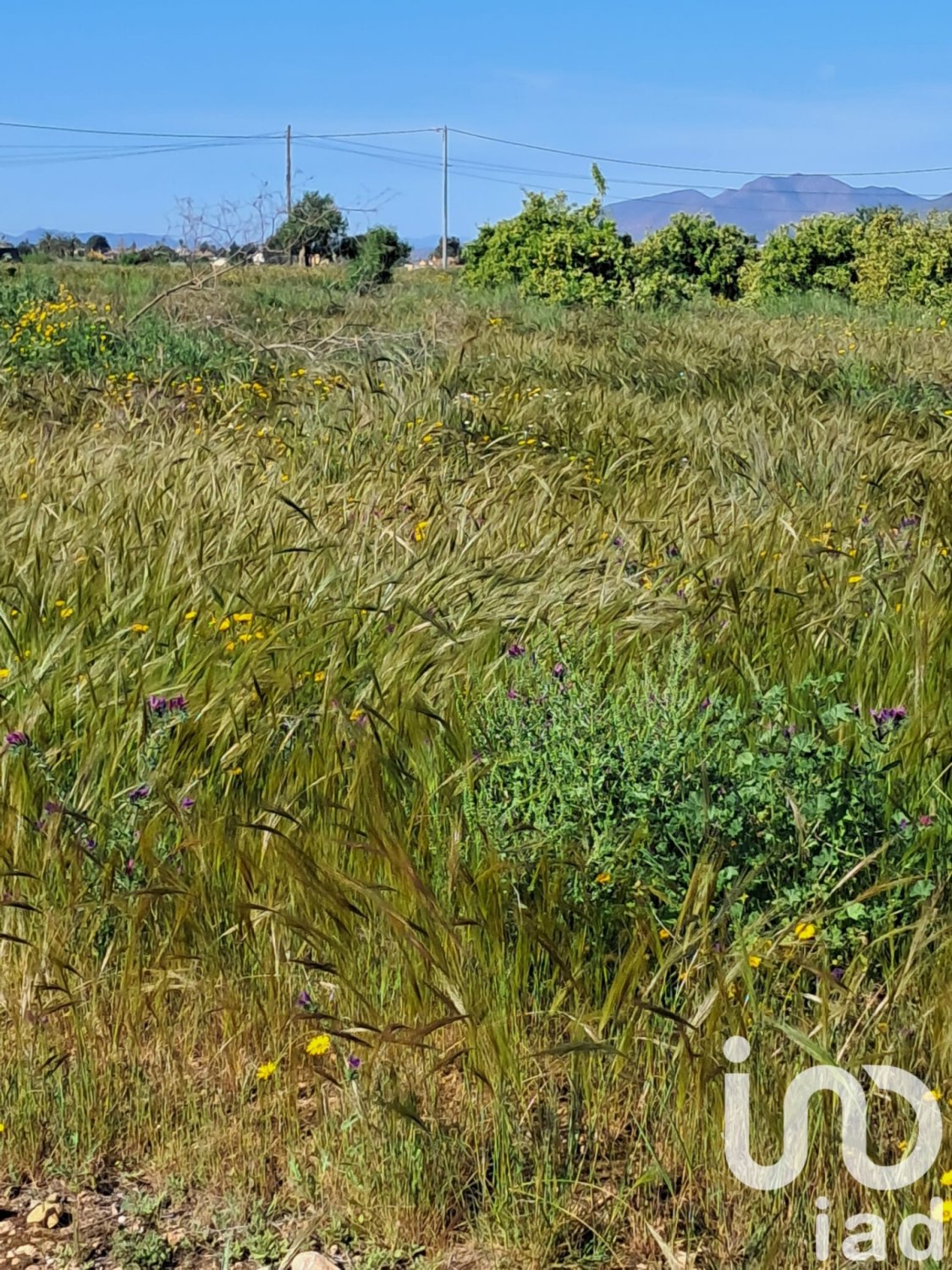 Land plot à Lorca, Murcia, Espagne 3843 m2 No. 185881