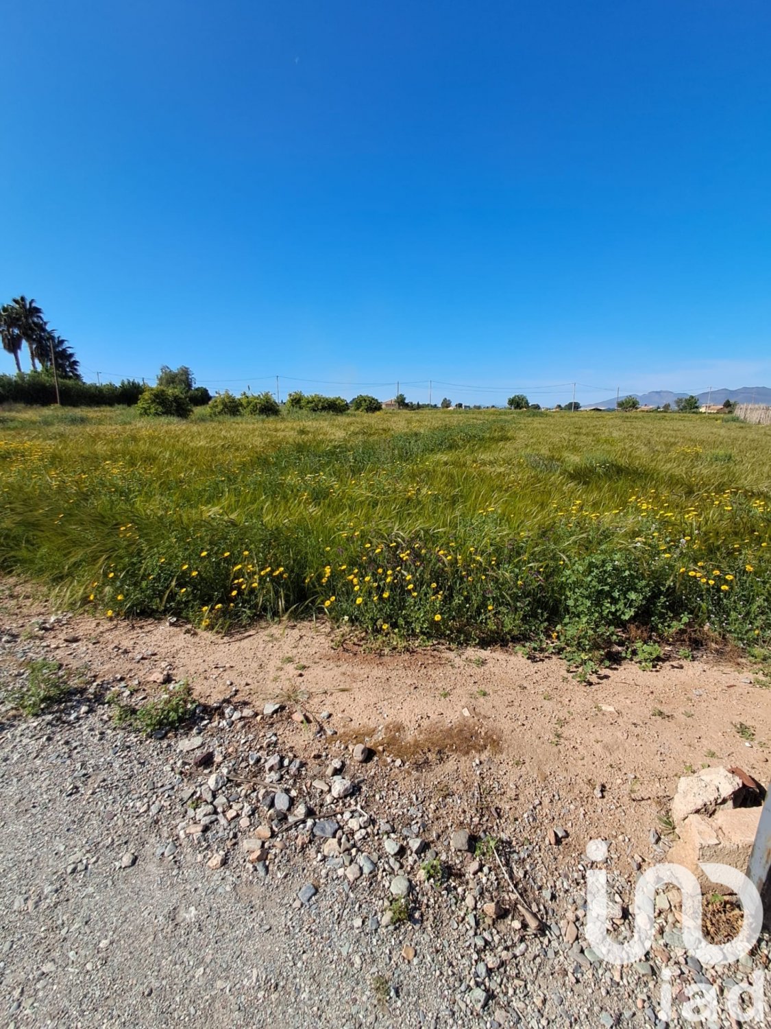 Land plot à Lorca, Murcia, Espagne 3843 m2 No. 185881