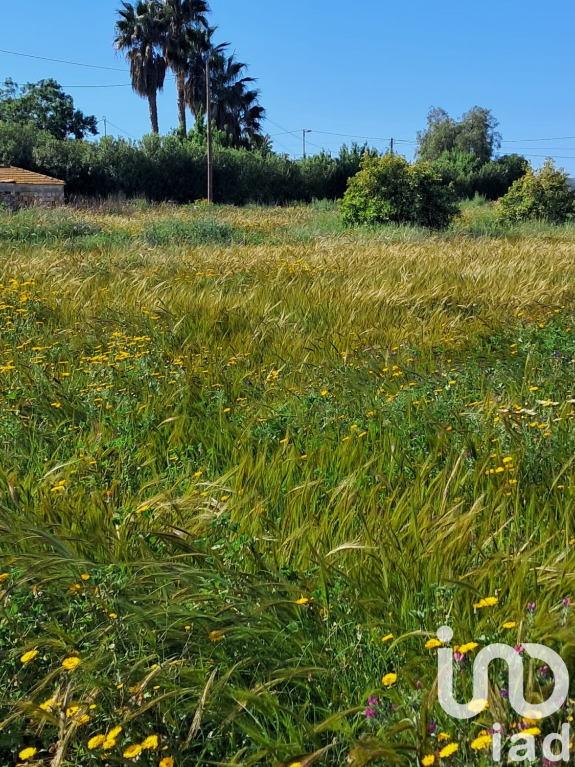 Land plot à Lorca, Murcia, Espagne 3843 m2 No. 185881