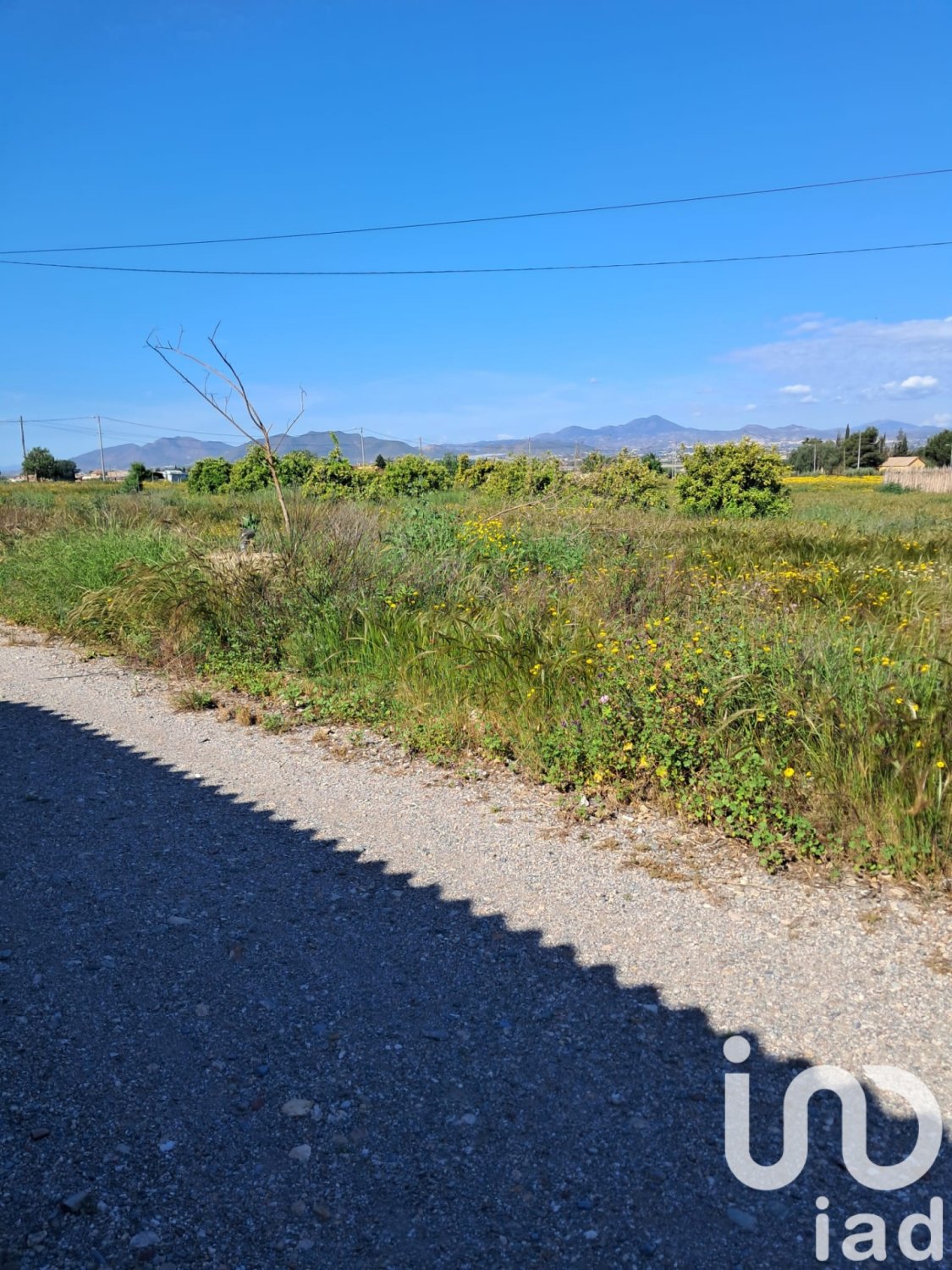 Land plot à Lorca, Murcia, Espagne 3843 m2 No. 185881