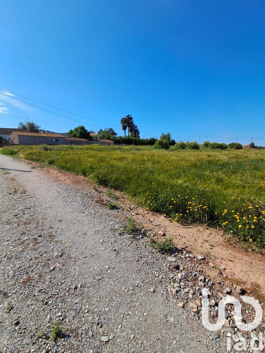 Land plot à Lorca, Murcia, Espagne 3843 m2 No. 185881