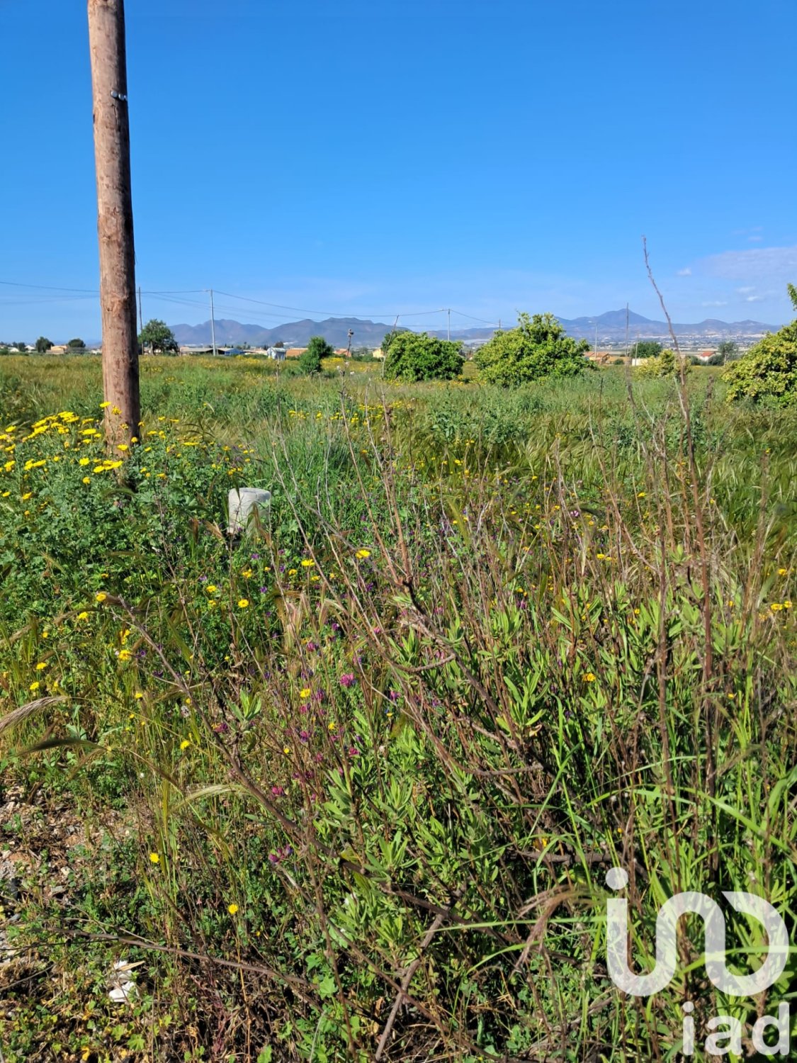 Land plot à Lorca, Murcia, Espagne 3843 m2 No. 185881