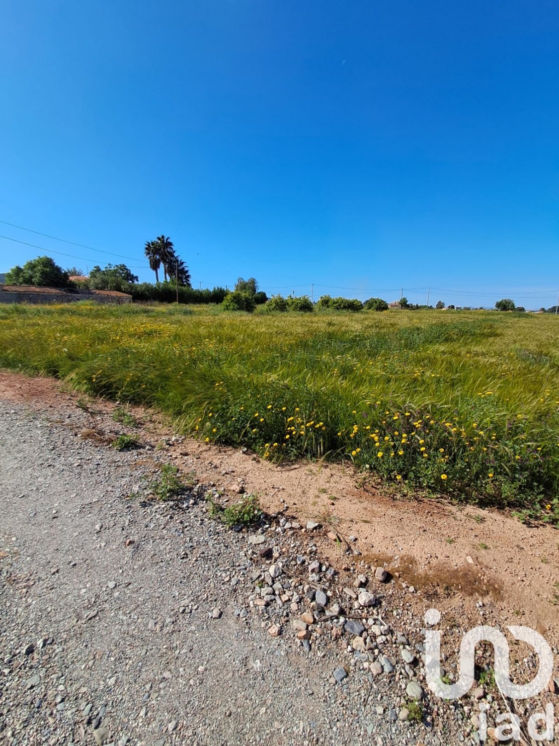 Land plot à Lorca, Murcia, Espagne 3843 m2 No. 185881