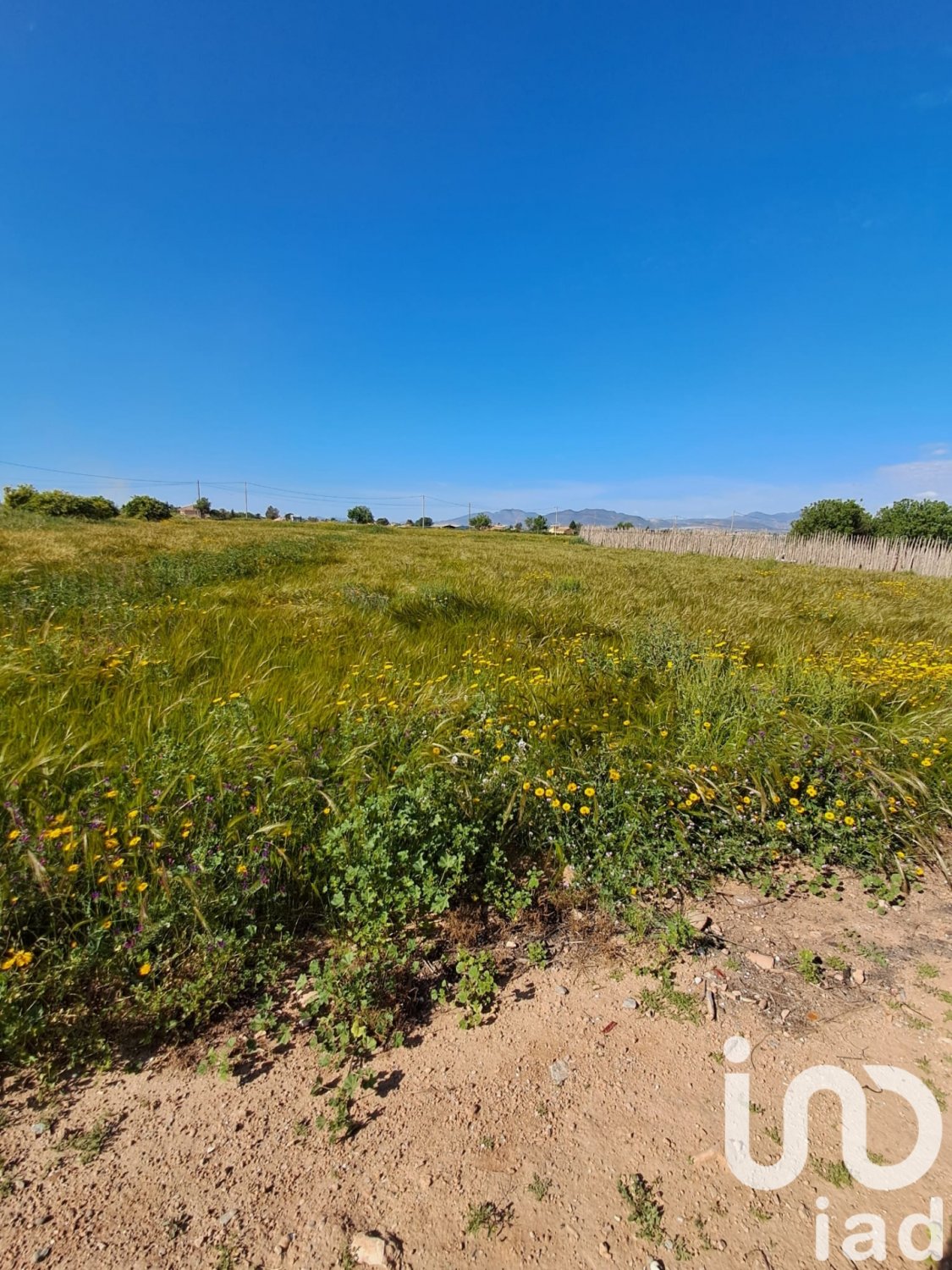 Land plot à Lorca, Murcia, Espagne 3843 m2 No. 185881