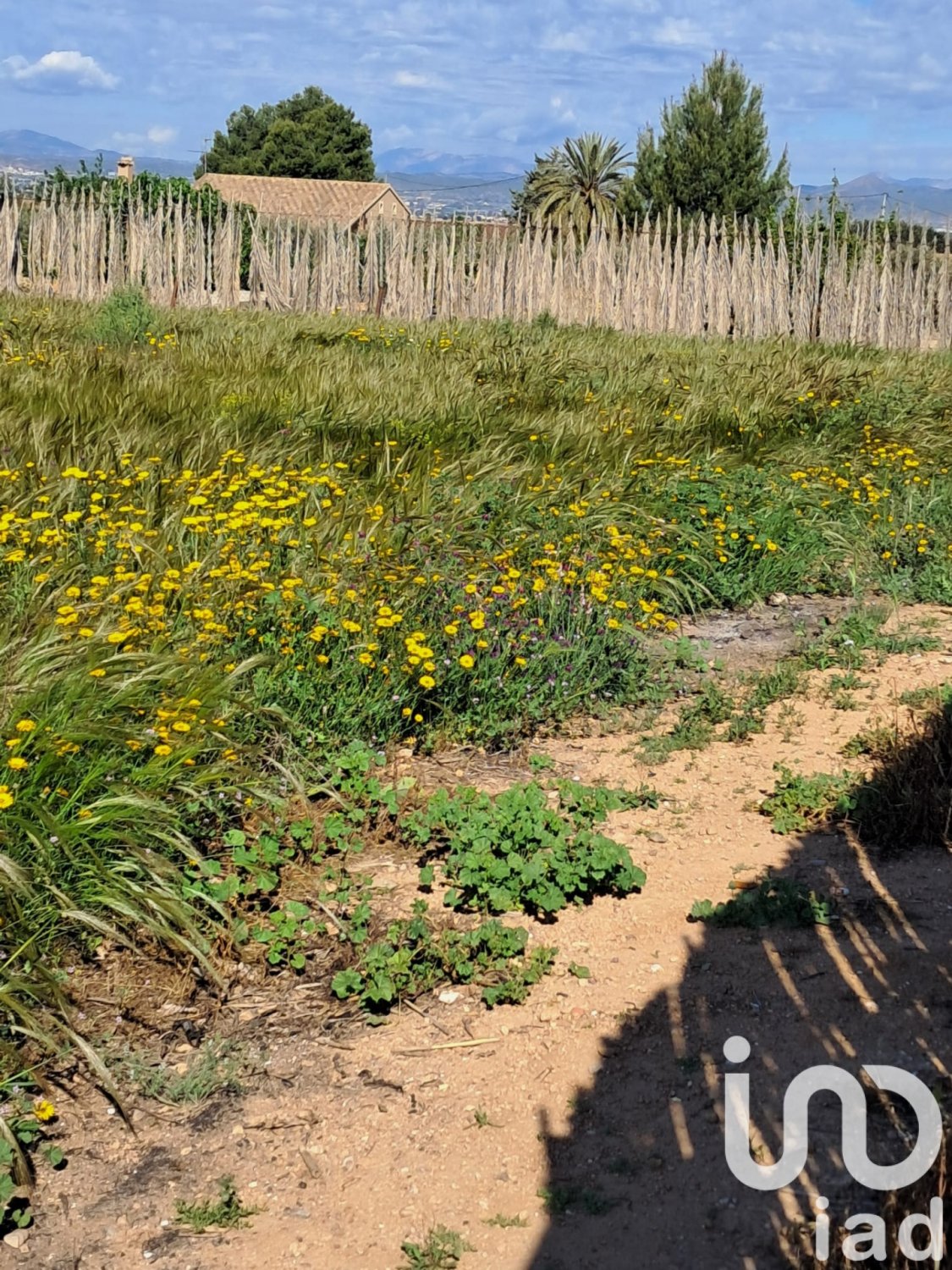 Land plot à Lorca, Murcia, Espagne 3843 m2 No. 185881