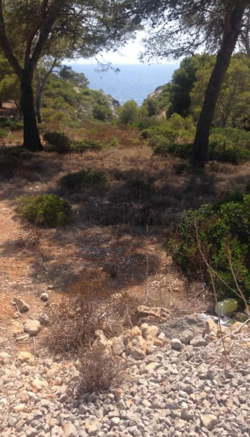 Działka w Cala Pi, Mallorca, Hiszpania nr 103193