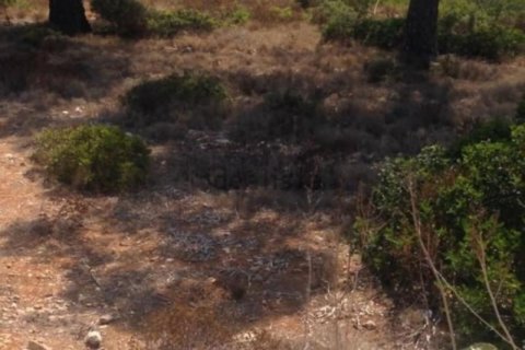 Land in Cala Pi, Mallorca, Spanien Nr. 103193
