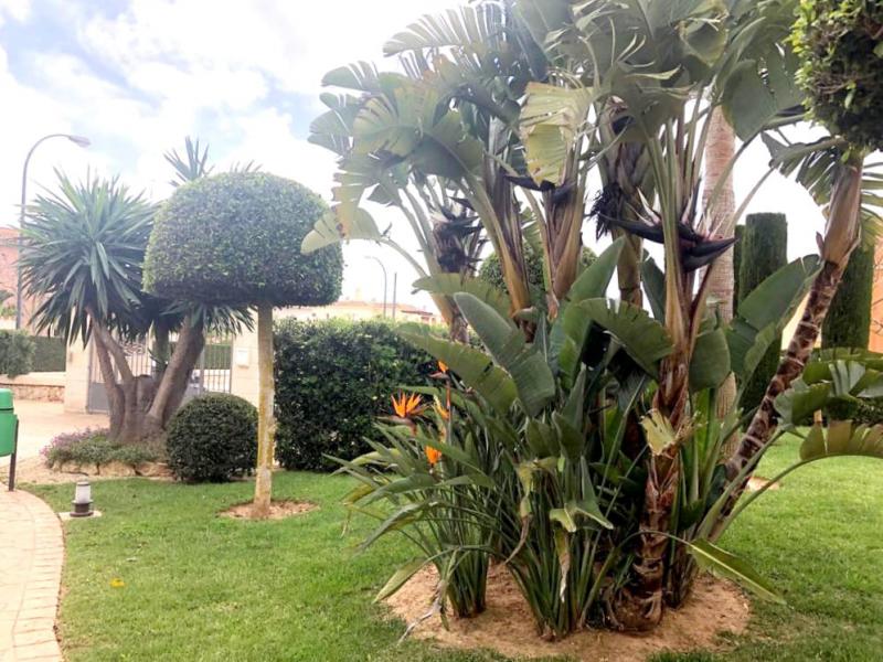 Apartment in Sa Rapita, Mallorca, Spain 2 bedrooms, 76 sq.m. No. 103196