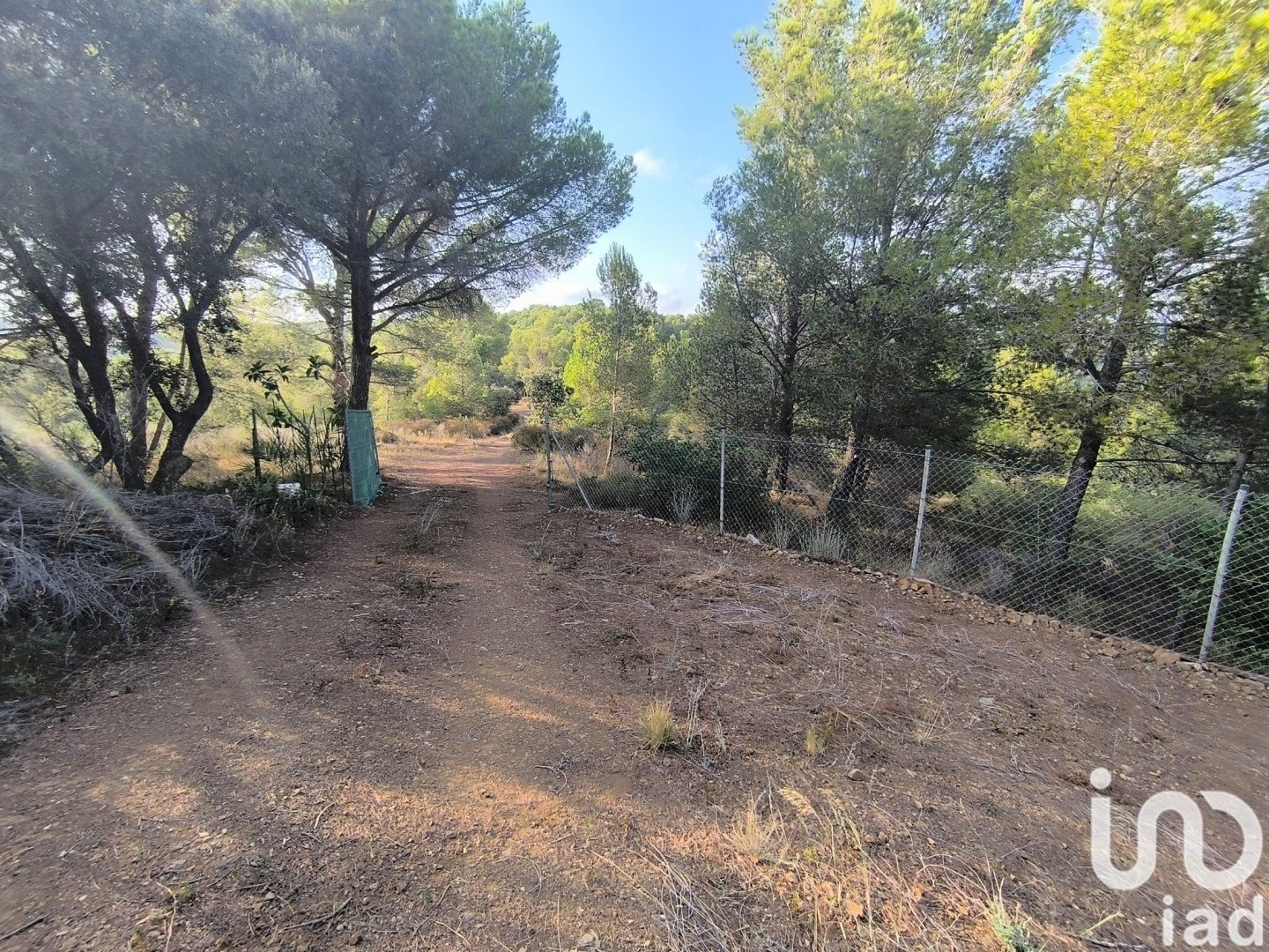 Land plot in Castellvell del Camp, Tarragona, Spain 2462 sq.m. No. 185688