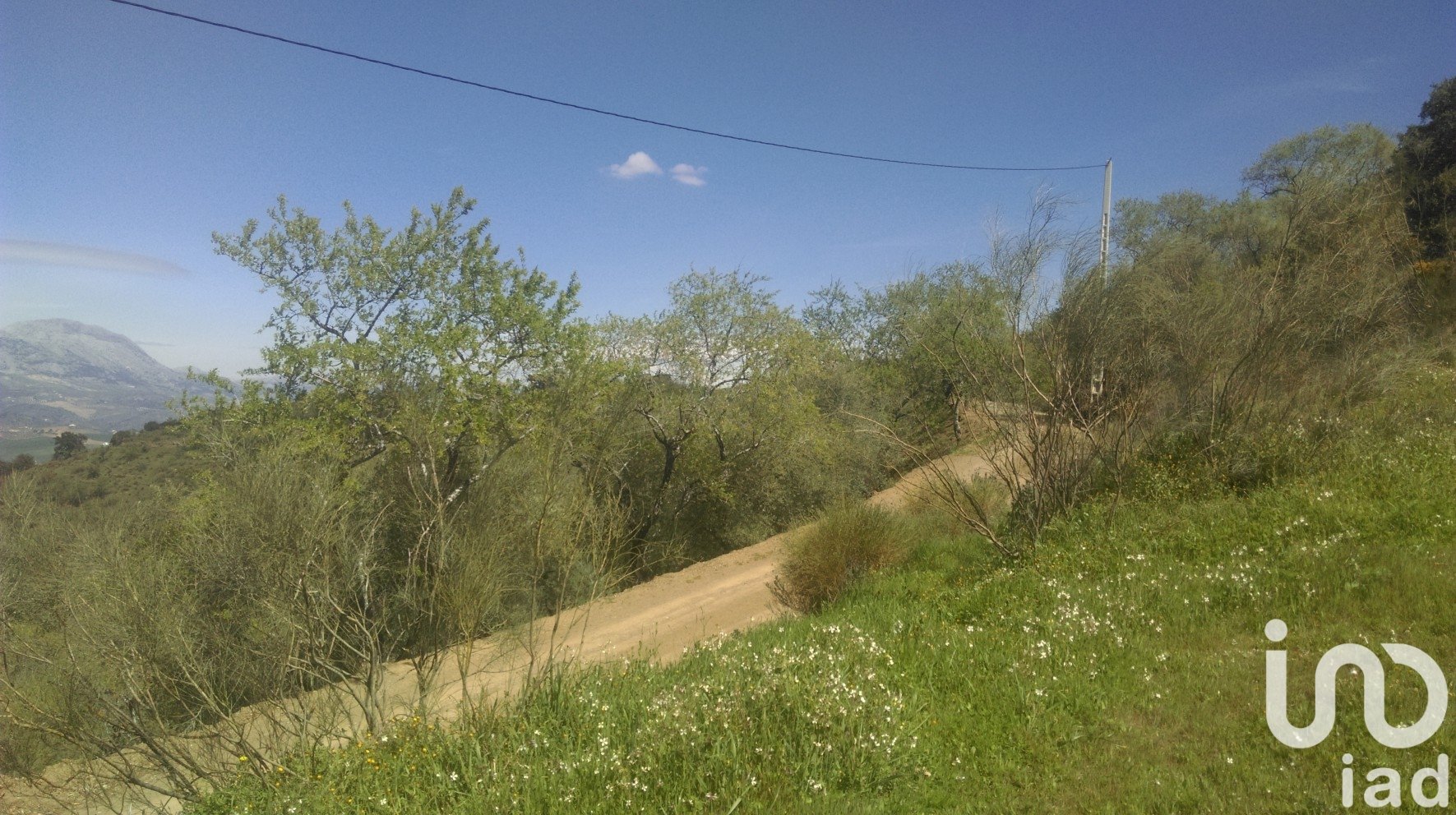 Działka w Casabermeja, Malaga, Hiszpania 47000 mkw. nr 185683