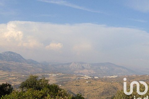 Parcela en Casabermeja, Málaga, España 47000 m2 No. 185683
