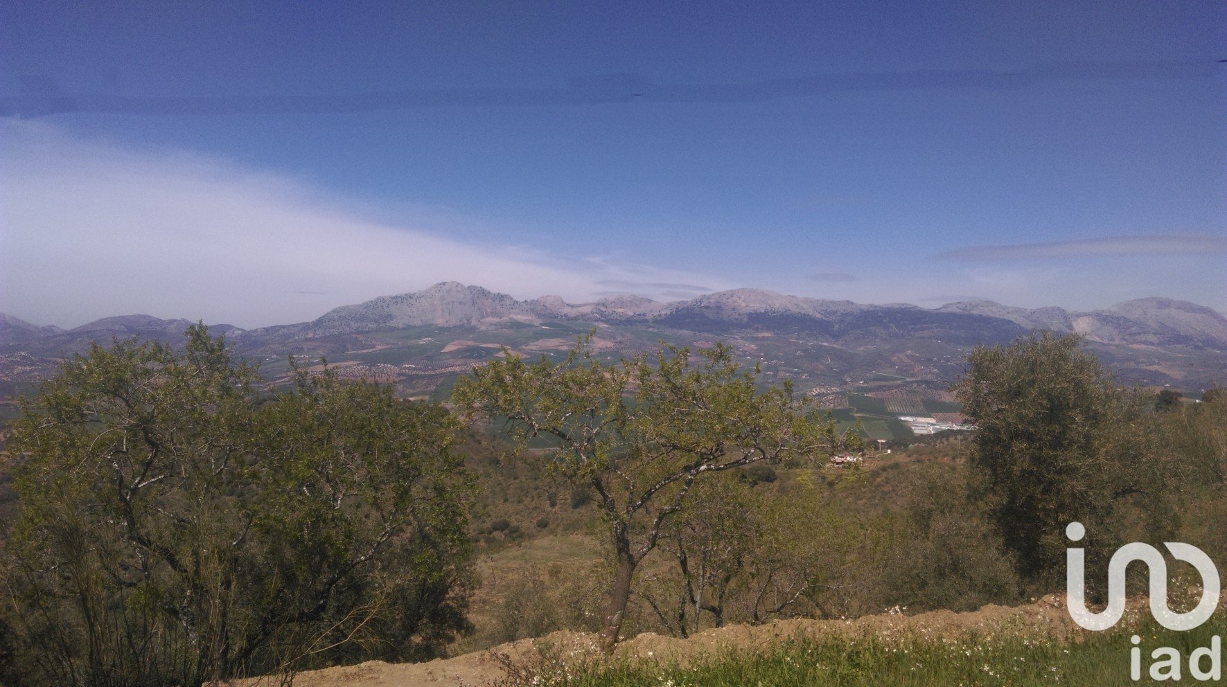 Działka w Casabermeja, Malaga, Hiszpania 47000 mkw. nr 185683