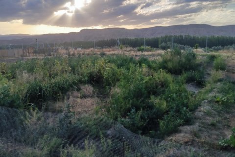 Commercial property in La Peza, Granada, Spain No. 188358