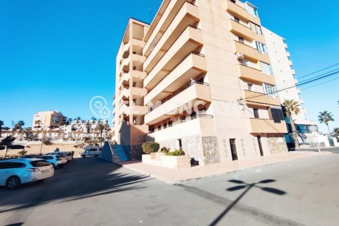 Apartment in Torrevieja, Alicante, Spain 1 bedroom, 38 sq.m. No. 183844