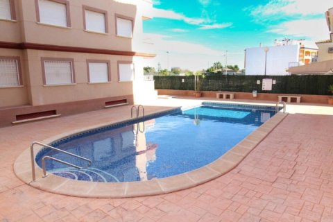 Apartamento en Algorfa, Alicante, España 1 dormitorio,  No. 183842