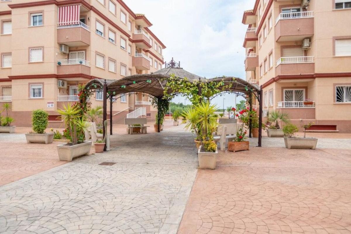 Lägenhet i Algorfa, Alicante, Spanien 1 sovrum,  Nr. 183842