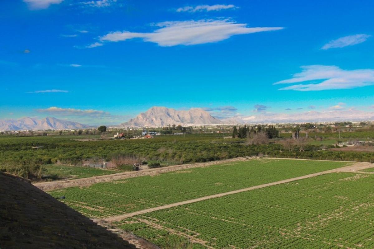 Lägenhet i Algorfa, Alicante, Spanien 1 sovrum,  Nr. 183842