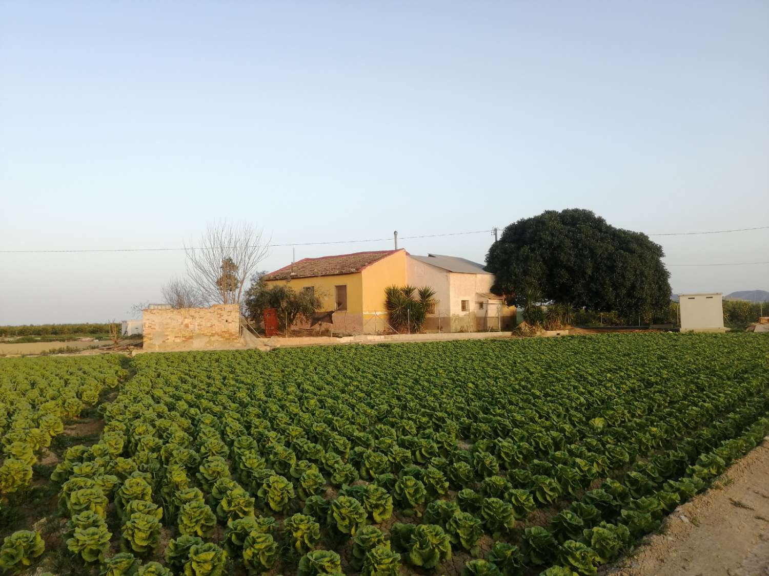 Villa in Orihuela, Alicante, Spain 3 bedrooms, 150 sq.m. No. 183841