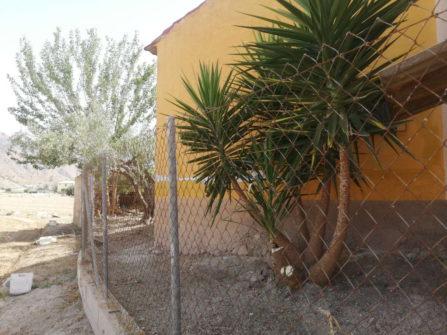 Villa in Orihuela, Alicante, Spain 3 bedrooms, 150 sq.m. No. 183841