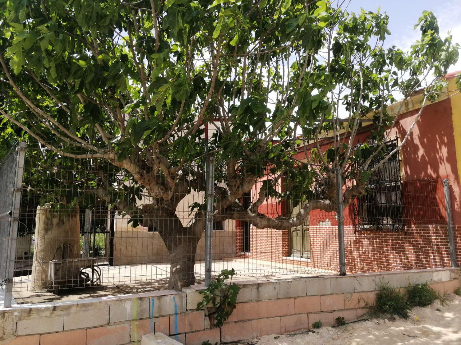 Villa in Orihuela, Alicante, Spain 3 bedrooms, 150 sq.m. No. 183841