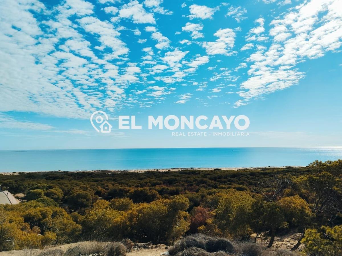 House in San Fulgencio, Alicante, Spain 1 bedroom, 29 sq.m. No. 183843
