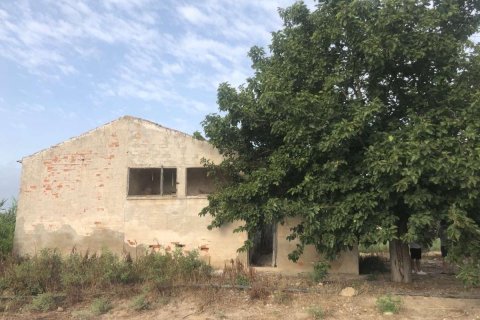 House in Alicante, Spain 2700 sq.m. No. 183840